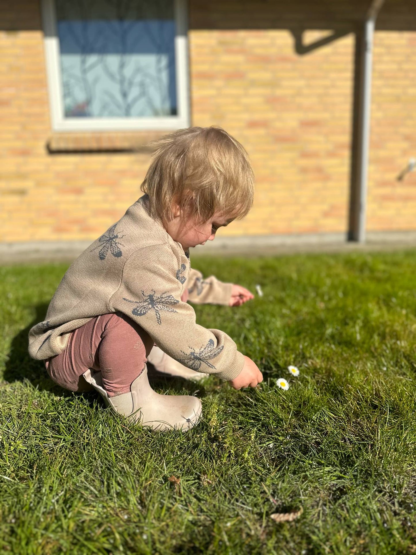 Linus strik med guldsmede