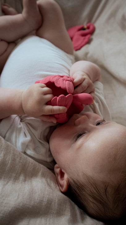 Badeand som flamingo