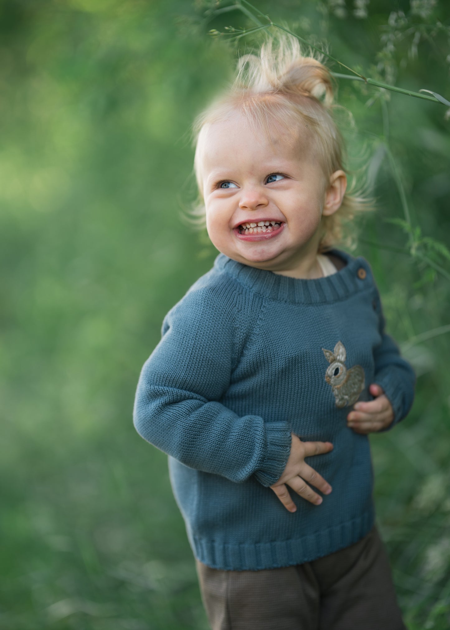 Linus kanin strik