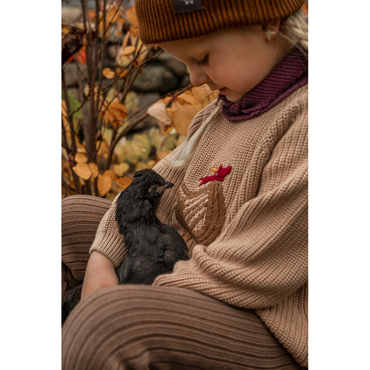 Hanevild signatur sweater i strik