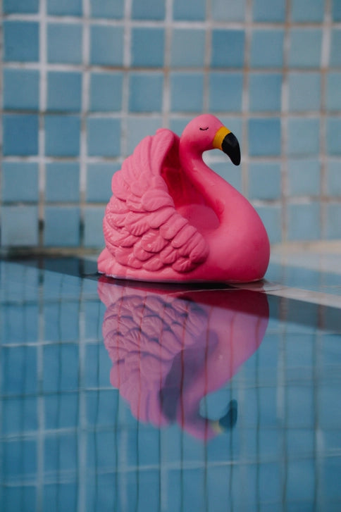 Badeand som flamingo